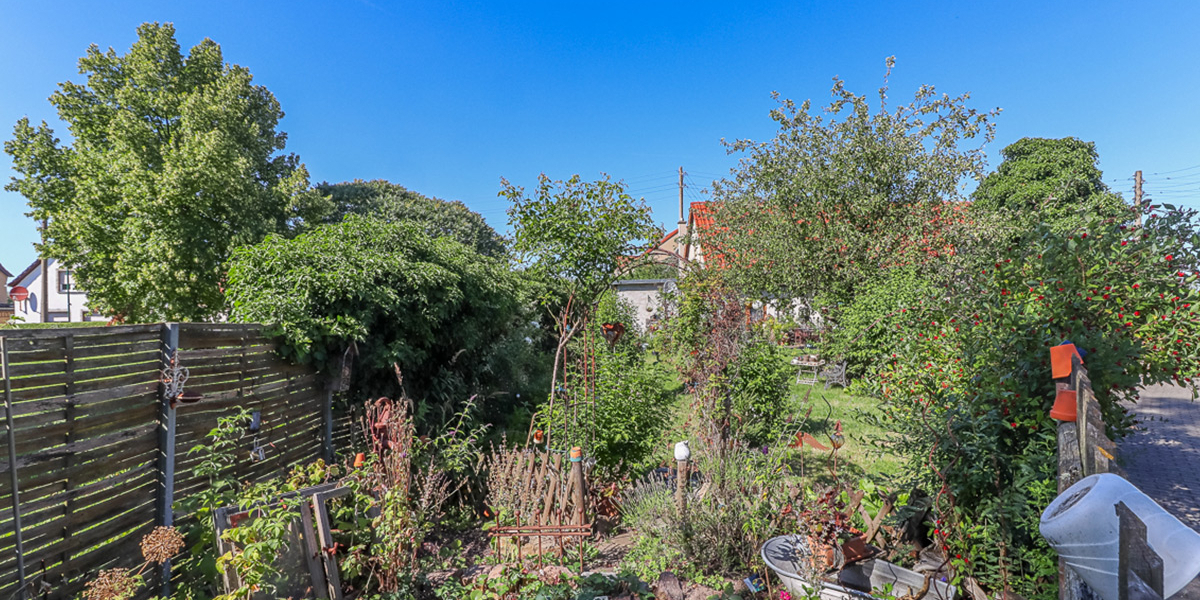 Garten-(2)